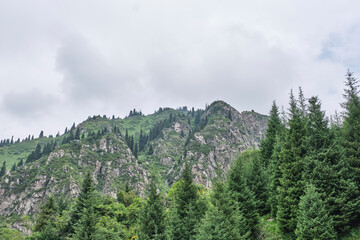 Mountain Ridge with Evergreen Forest Under Cloudy Sky