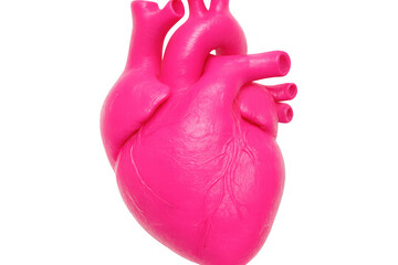 Rotating pink human heart isolated on transparent background, perfect for medical presentations, educational videos, or health-related projects