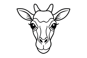 Detailed monochrome outline shows a giraffe head looking forward with expressive eyes