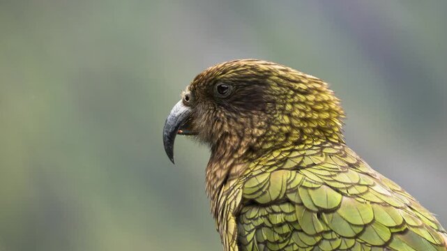 Aerial Nature Landscapes and Road Trip Adventures in New Zealand