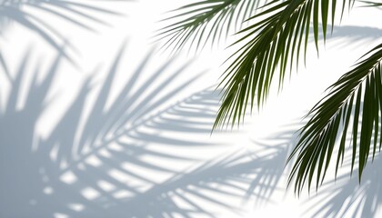 palm leaves background