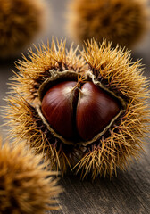 日本の栗、和栗、物撮り、秋の味覚