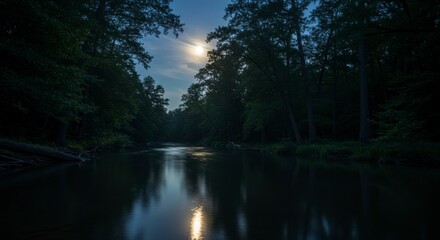 Moonlight reflecting on a still river in a dark forest