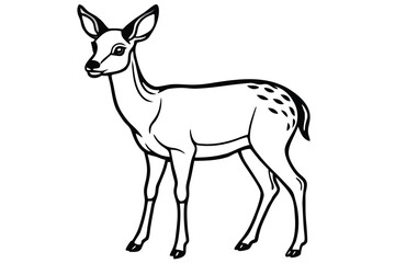 Elegant Fawn Illustration in Black and White for Coloring Books