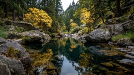 Serene Autumn River Reflection in Mountain Forest