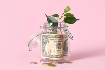 Plant growing from glass jar with dollar banknotes on pink background, closeup