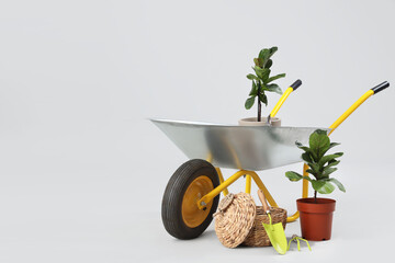 Plants, gardening tools and wheelbarrow on white background