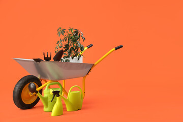 Plant, gardening supplies and wheelbarrow on orange background