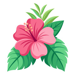Pink Hibiscus Flower Vector