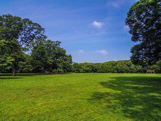 【東京都】代々木公園