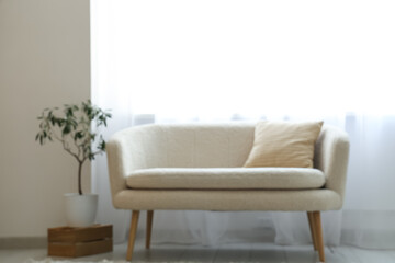 Interior of stylish living room with sofa, houseplant and light curtains