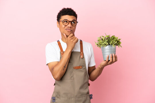 Gardener African man holding a plant isolated on pink background and looking up - Powered by Adobe