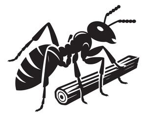 Carpenter Ant 7.eps