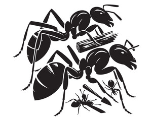 Carpenter Ant 13.eps