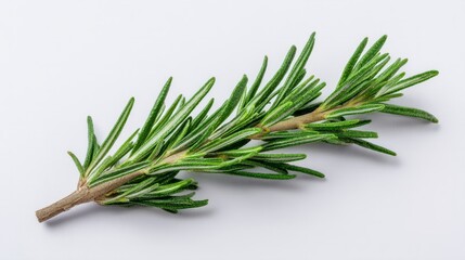 Fototapeta premium Sprig of rosemary whispering herbal secrets, enchanting Beltane feasts, Mediterranean culinary magic, aromatic elixir for restful slumber