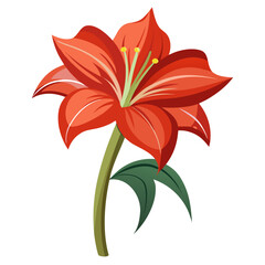Amaryllis Flower Vector Art