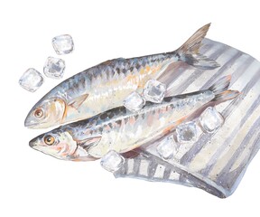 Two Fresh Mackerel Top View Watercolor Clipart With Ice Cubes And Kitchen Towel With Blue Stripe Hand Painted Seafood Illustration Isolated On White Background For Cooking And Food Design