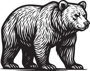 Grizzly Bear Walking Stylized Vector Illustration

