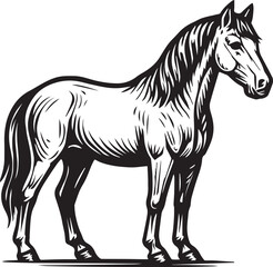 Majestic Horse Standing Vector Illustration

