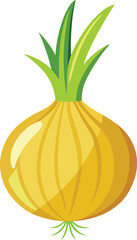 Colorful and stylish onion fruits vector illustration, onion vector graphics icon design, Vintage and retro onion vector graphics resource, onion editable vector art
