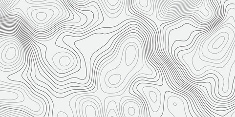 Fototapeta premium A seamless, minimalist background featuring abstract topographic contour lines in soft greys over a clean white canvas. The undulating,wavy lines form organic,layered shapes resembling elevation maps.