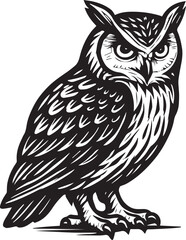 Majestic Owl Illustration Black and White Bird Art