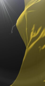 Flag of Barrancabermeja, Santander Department, Colombia. Loop. 4K Vertical