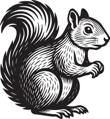Elegant Black and White Squirrel Illustration