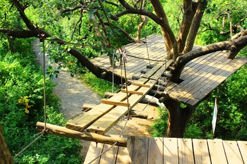 wooden swing in the park