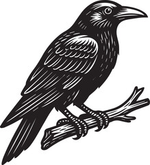 Majestic Black Raven Illustration Intricate Line Art of a Bird Perched on a Branch
