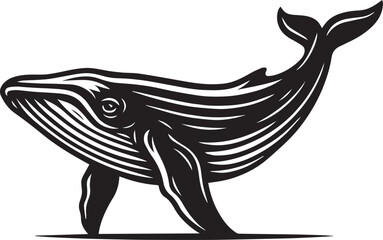 Majestic Whale Illustration Black and White Vintage Design