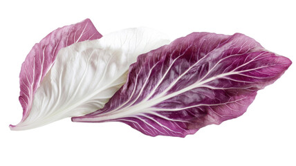 Fresh Red Cabbage with Crisp Leaves and Vibrant Color Isolated on White Background
