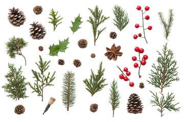 Holiday Botanical Elements: A vibrant assortment of seasonal botanical elements, capturing the essence of the holiday spirit with pine cones, holly leaves, evergreen sprigs, and red berries.