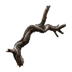A captivating dry branch with weathered texture presents a stark contrast against a black backdrop, showcasing the beauty of natural forms suitable for artistic compositions or design elements.
