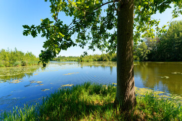 Etang aux pointes in the marshes of the lower valleys of the Juine and the Essonne river