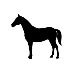 Peaceful Black Silhouette of a Horse Standing Calm Equine Design