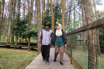 Happy Senior Couple Enjoying a Peaceful Nature Walk on a Wooden Path