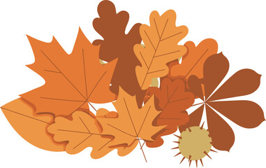 Autumn leaves in various shades of orange and brown, clustered together.