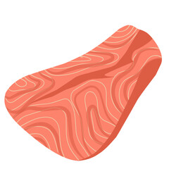 Salmon fillet illustration, salmon meat slices, seafood vector illustration 