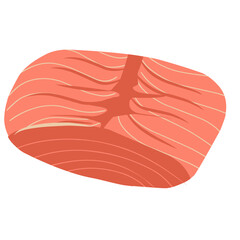 Salmon fillet illustration, salmon meat slices, seafood vector illustration 