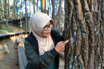 Woman in Headscarf Observing a Tree Bark in a Forested Park