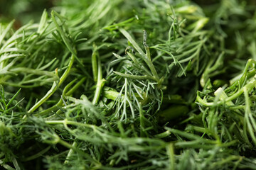 Texture of fresh green dill as background