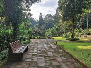 vibrant color picture of trail in the rain forest of taman hutan raya bandung nature walkway