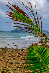 View of Patong Beach in the island of Phuket Thailand, turquoise blue waters of the Andaman and lush green mountains