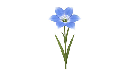 Elegant Blue Flower with Six Petals on a White Background - Floral Beauty