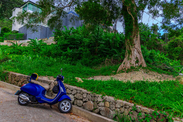 Lush green mountains of Patong and Kalim a trpoical rainforest in the hills overlooking Patong Beach on the island of Phuket Thailand 