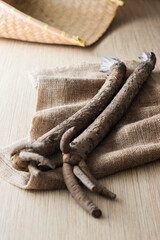 【京野菜堀川ごぼう】京都伝統野菜。柔らかな肉質で香りが高い大きな牛蒡。芯にお肉や海老すり身などを詰めて煮物にします。