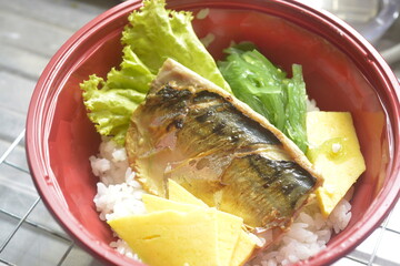 lose-up grilled fish detail with rice grains visible