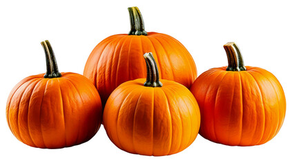 Obraz premium Pumpkins for Autumn and Halloween png background 