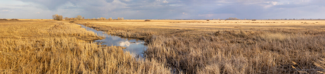 panorama of steppe with yellow grass, wide stream and rainy sky

